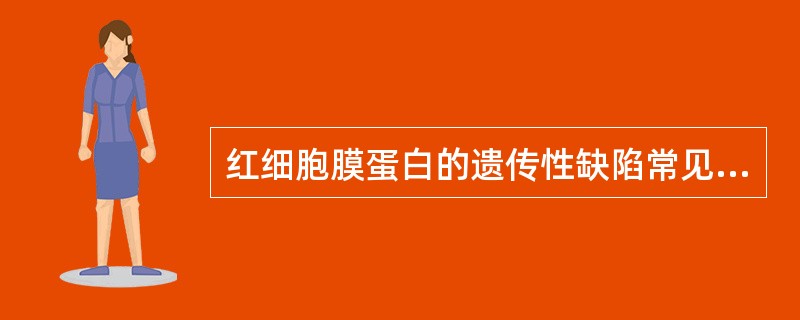 红细胞膜蛋白的遗传性缺陷常见于 ( )A、收缩蛋白B、带3蛋白C、4.1蛋白D、