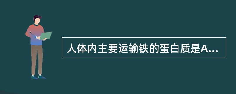 人体内主要运输铁的蛋白质是A、铁蛋白B、肌红蛋白C、转铁蛋白D、血红蛋白E、细胞