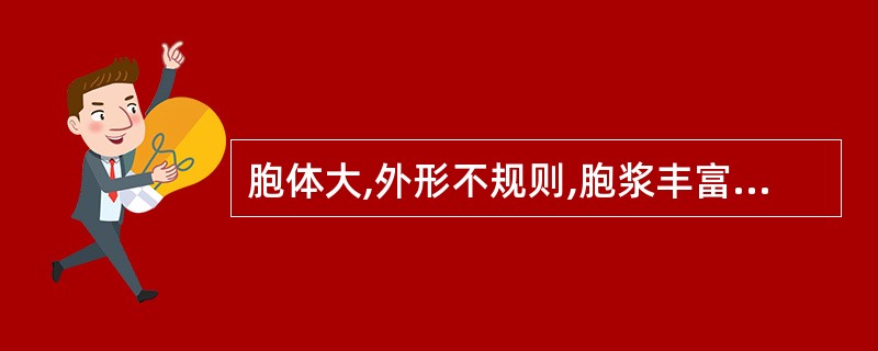 胞体大,外形不规则,胞浆丰富,呈灰蓝色,核呈笔架形或S形,核染质纤细网状,急性白