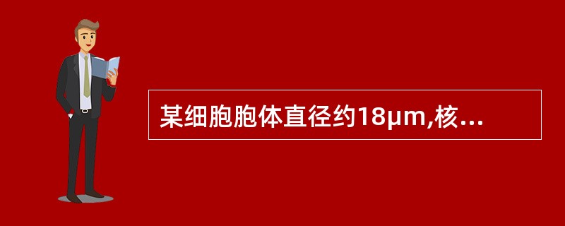 某细胞胞体直径约18μm,核圆形、居中,染色质粗颗粒状,无核仁,胞质量较多,不透