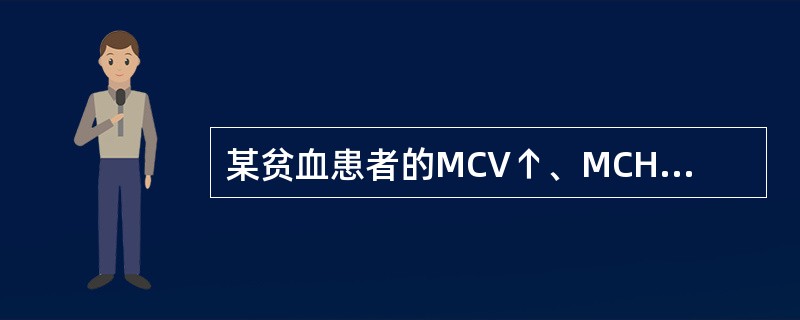 某贫血患者的MCV↑、MCH↑、MCHC正常,属于A、大细胞性贫血B、正常细胞性