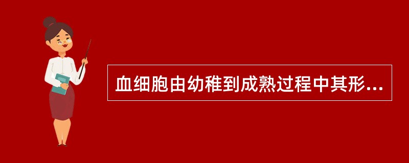 血细胞由幼稚到成熟过程中其形态变化规律正确是( )A、胞体由小到大B、胞核由大到