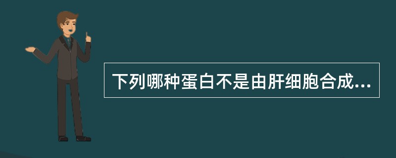 下列哪种蛋白不是由肝细胞合成的A、白蛋白B、凝血酶原C、免疫球蛋白D、纤维蛋白原