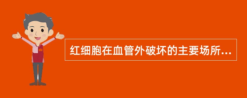 红细胞在血管外破坏的主要场所是( )A、肾、肝B、脾、肝C、肾、脾D、胸腺、骨髓