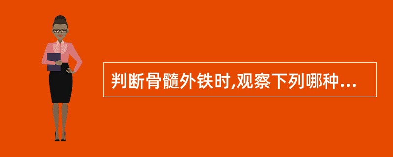 判断骨髓外铁时,观察下列哪种物质铁染色情况A、中幼红细胞B、晚幼红细胞C、网织红