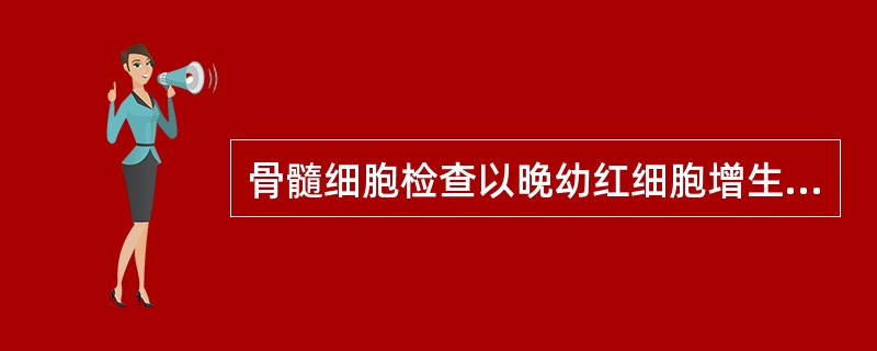 骨髓细胞检查以晚幼红细胞增生为主,细胞内铁、外铁明显减少或消失,见于A、再生障碍