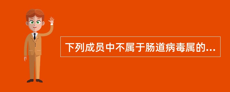 下列成员中不属于肠道病毒属的是A、脊髓灰质炎病毒B、柯萨奇病毒C、埃可病毒D、轮