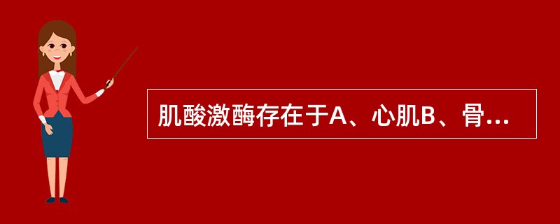 肌酸激酶存在于A、心肌B、骨骼肌C、红细胞D、脑组织E、肝