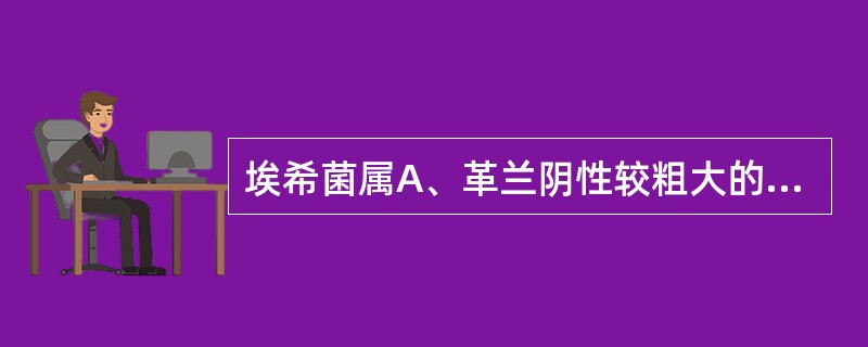 埃希菌属A、革兰阴性较粗大的杆菌,有明显的荚膜,无鞭毛B、革兰阳性,菌体染色不均