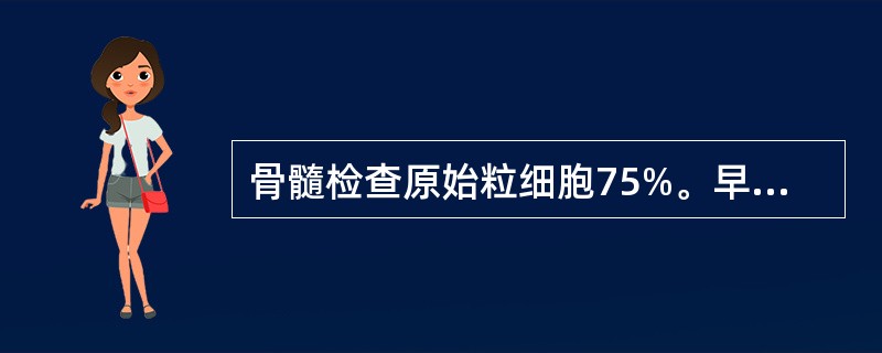骨髓检查原始粒细胞75%。早幼粒2%,中性杆状核粒细胞3%,中性分叶核粒细胞12