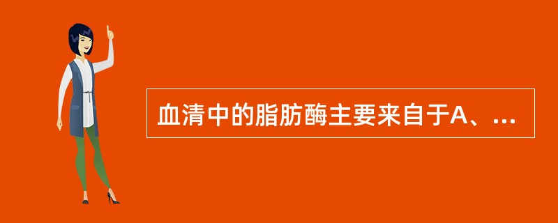 血清中的脂肪酶主要来自于A、肝脏B、脾脏C、肾脏D、肠道E、胰腺