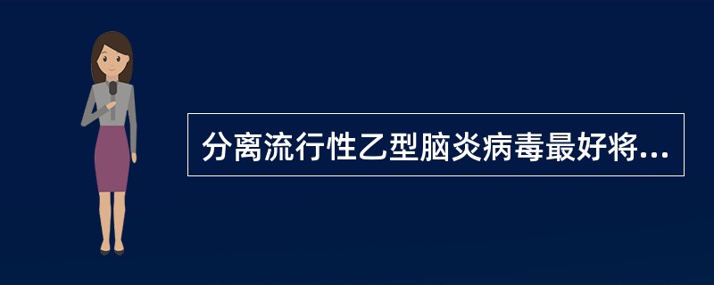 分离流行性乙型脑炎病毒最好将死者脑组织匀浆接种于:A、幼鼠脑内B、幼鼠腹腔C、小