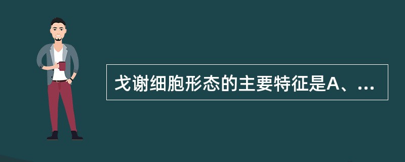 戈谢细胞形态的主要特征是A、胞体大,直径20~90μmB、核圆形或椭圆形C、染色