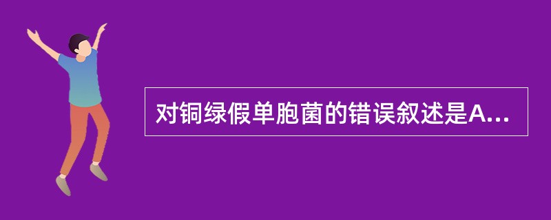 对铜绿假单胞菌的错误叙述是A、一端有鞭毛B、氧化酶试验阳性C、可产生脂溶性色素D