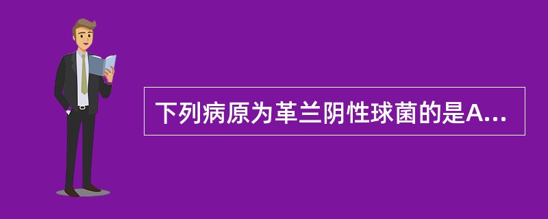 下列病原为革兰阴性球菌的是A、淋病奈瑟球菌B、葡萄球菌C、肺炎球菌D、铜绿假单孢