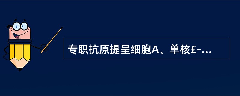 专职抗原提呈细胞A、单核£­巨噬细胞B、树突状细胞C、B细胞D、A£«B£«CE