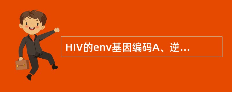 HIV的env基因编码A、逆转录酶B、衣壳蛋白p24C、包膜蛋白gp120和gp