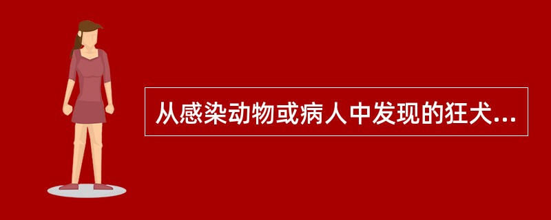 从感染动物或病人中发现的狂犬病毒又可称之为A、固定毒B、野毒株C、病毒原型D、减