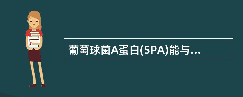 葡萄球菌A蛋白(SPA)能与 ( )A、IgA结合B、IgG的Fab段结合C、I