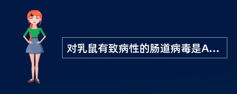 对乳鼠有致病性的肠道病毒是A、脊髓灰质炎病毒B、环状病毒C、ECHO病毒D、人类