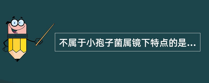 不属于小孢子菌属镜下特点的是A、无小分生孢子B、小分生孢子卵圆形C、大分生孢子纺