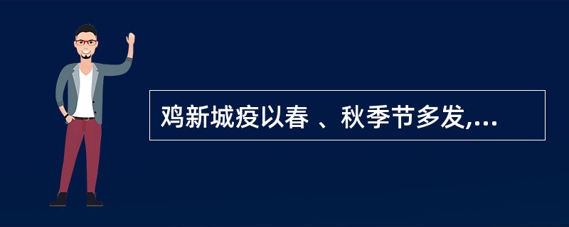 鸡新城疫以春 、秋季节多发,传播很快,发病率和致死率可达( )以上