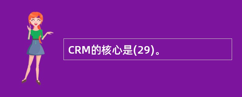 CRM的核心是(29)。