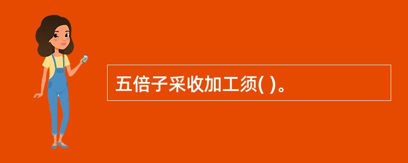 五倍子采收加工须( )。