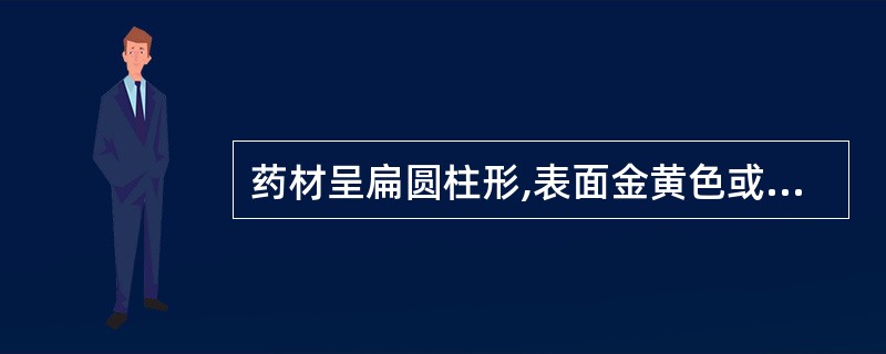 药材呈扁圆柱形,表面金黄色或黄中带绿色,质硬而脆,味苦的是( )