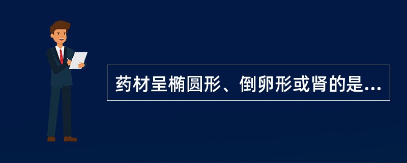 药材呈椭圆形、倒卵形或肾的是( )。