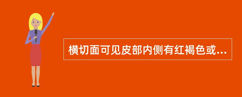 横切面可见皮部内侧有红褐色或黑棕色树脂状分泌物,木部淡红色,有小空洞(导管),皮