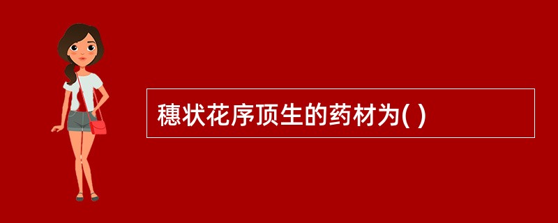 穗状花序顶生的药材为( )