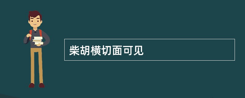 柴胡横切面可见