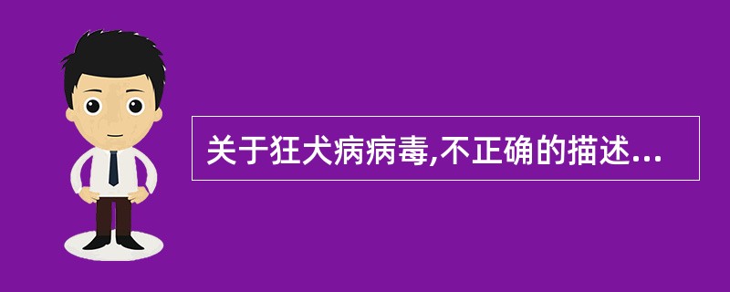 关于狂犬病病毒,不正确的描述是A、可通过虫媒传播B、在中枢神经细胞胞浆内形成内基