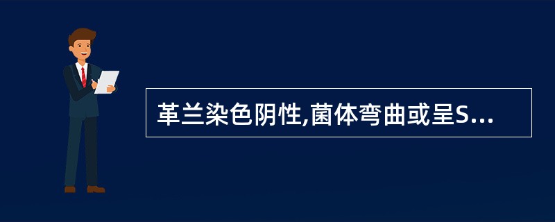 革兰染色阴性,菌体弯曲或呈S形、海鸥展翅形,氧化酶和触酶阳性,对奈啶酸耐药、对头