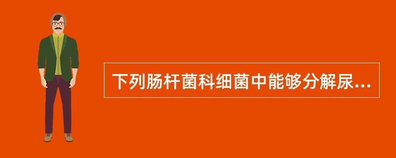 下列肠杆菌科细菌中能够分解尿素的是A、大肠埃希菌B、伤寒沙门菌C、痢疾志贺菌D、