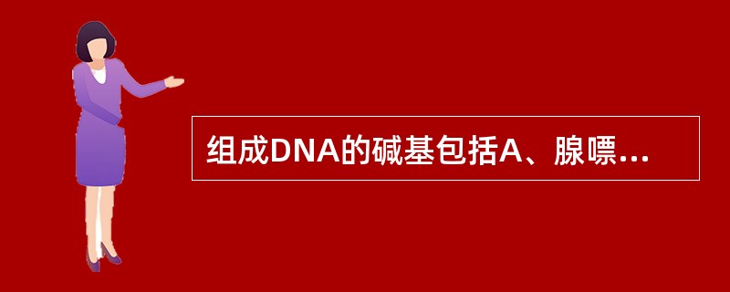 组成DNA的碱基包括A、腺嘌呤B、胸腺嘧啶C、鸟嘌呤D、胞嘧啶E、尿嘧啶