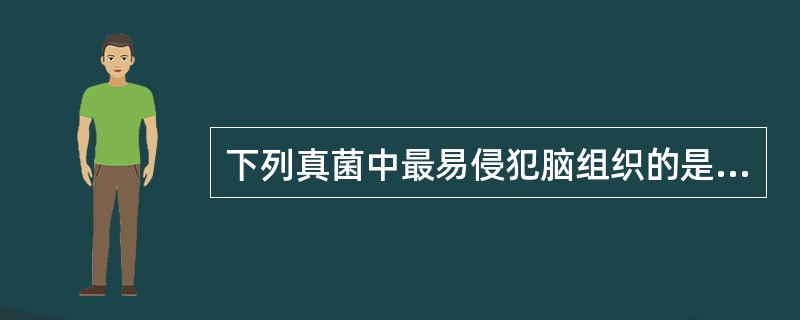 下列真菌中最易侵犯脑组织的是A、黄曲霉菌B、许兰毛癣菌C、红色毛癣菌D、新生隐球