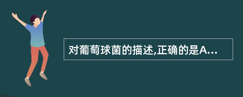 对葡萄球菌的描述,正确的是A、革兰阳性球菌B、对人不致病C、营养要求很高D、没有