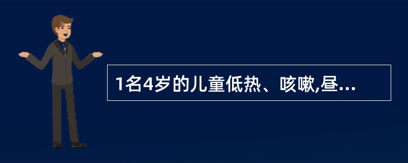 1名4岁的儿童低热、咳嗽,昼轻夜重而且呈阵发性痉挛性咳嗽,偶有特殊的“鸡鸣”样吼