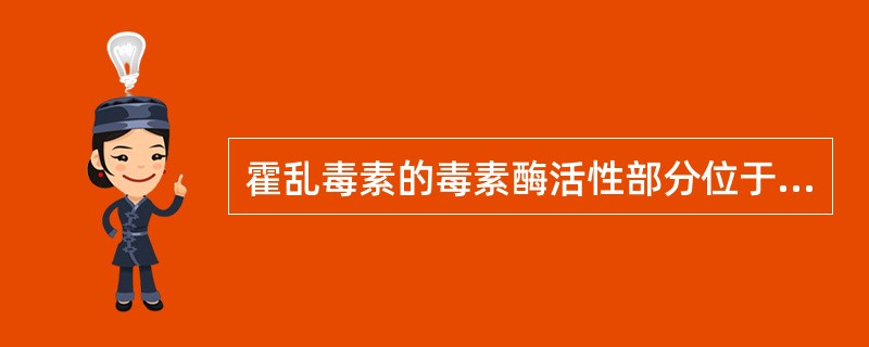 霍乱毒素的毒素酶活性部分位于A、A1亚单位B、A2亚单位C、A3亚单位D、B2亚