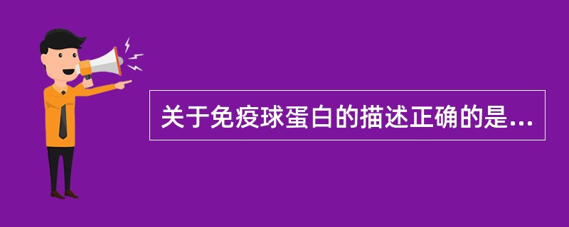 关于免疫球蛋白的描述正确的是A、免疫球蛋白是B细胞经抗原刺激后增殖分化为浆细胞后