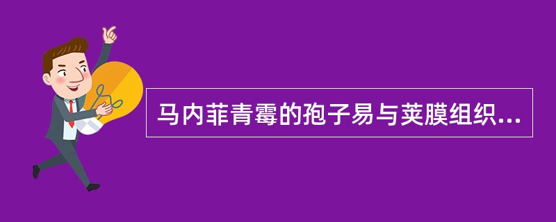 马内菲青霉的孢子易与荚膜组织胞浆菌孢子相混淆,但马内菲青霉孢子的特点是A、孢子无