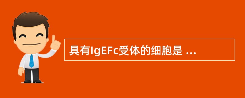 具有IgEFc受体的细胞是 ( )A、巨噬细胞B、B细胞C、嗜碱性粒细胞D、树突