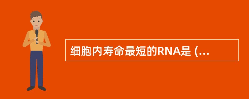 细胞内寿命最短的RNA是 ( )A、tRNAB、mRNAC、snRNAD、rRN