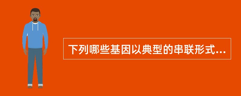 下列哪些基因以典型的串联形式存在于真核生物基因组 ( )A、球蛋白基因B、组蛋白