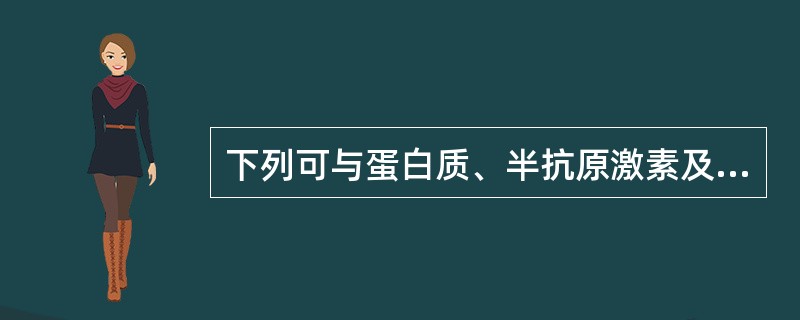 下列可与蛋白质、半抗原激素及核酸等物质结合的标记物是 ( )A、吖啶醇类B、三丙