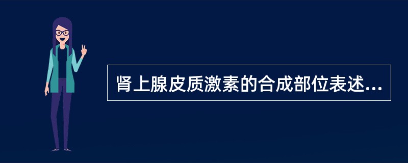 肾上腺皮质激素的合成部位表述正确的是A、球状带£­£­盐皮质激素B、束状带£­£