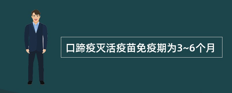 口蹄疫灭活疫苗免疫期为3~6个月