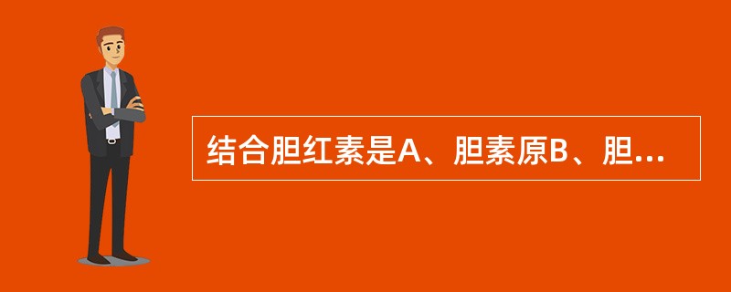 结合胆红素是A、胆素原B、胆红素C、胆红素£­Y蛋白D、胆红素£­Z蛋白E、葡萄